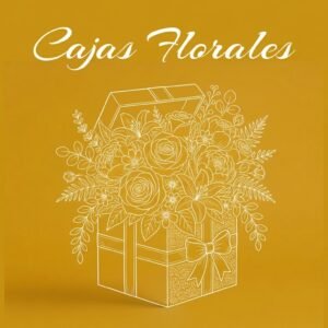 cajas